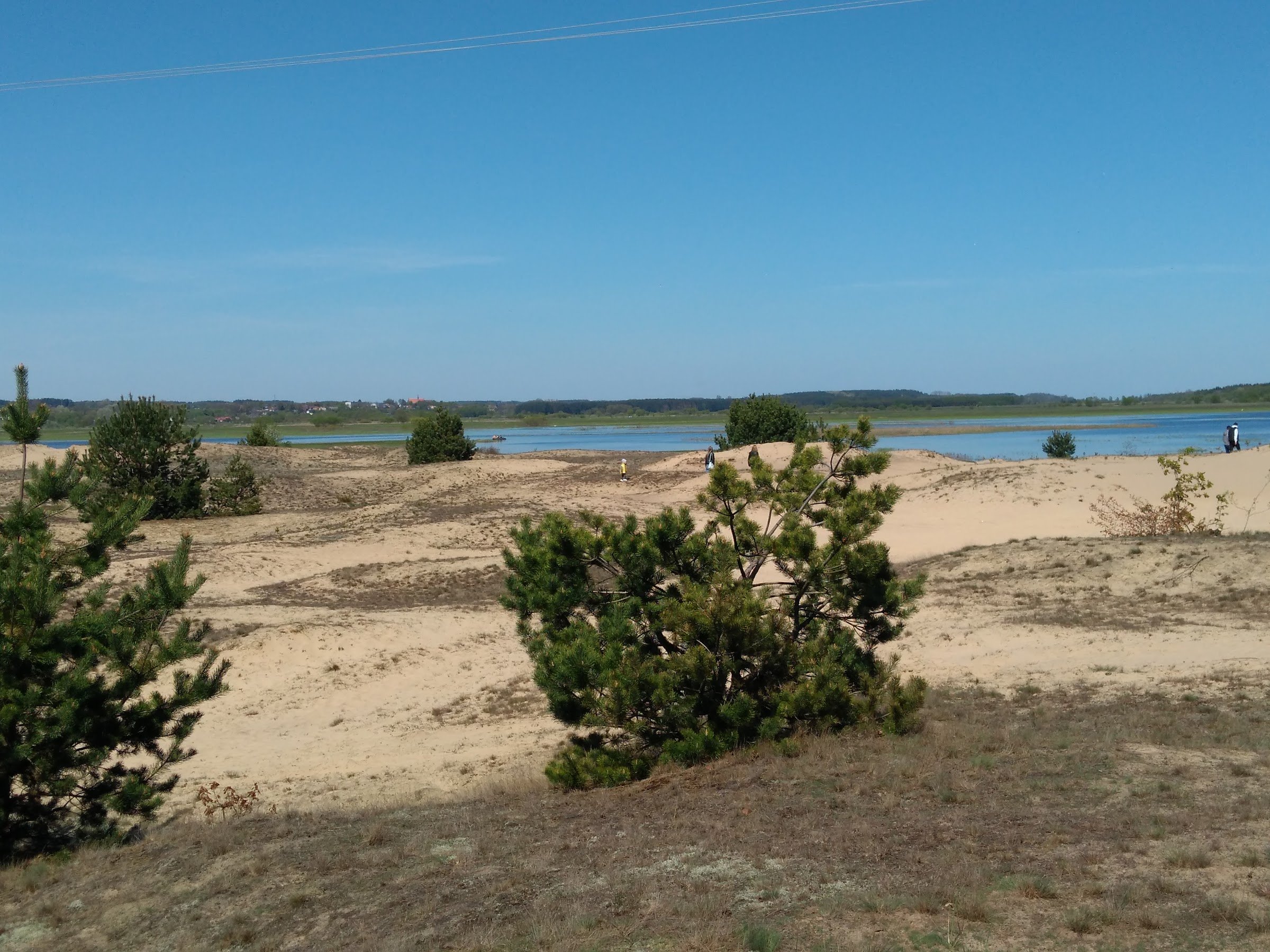 Osada wydmowa (Grądy Woniecko)